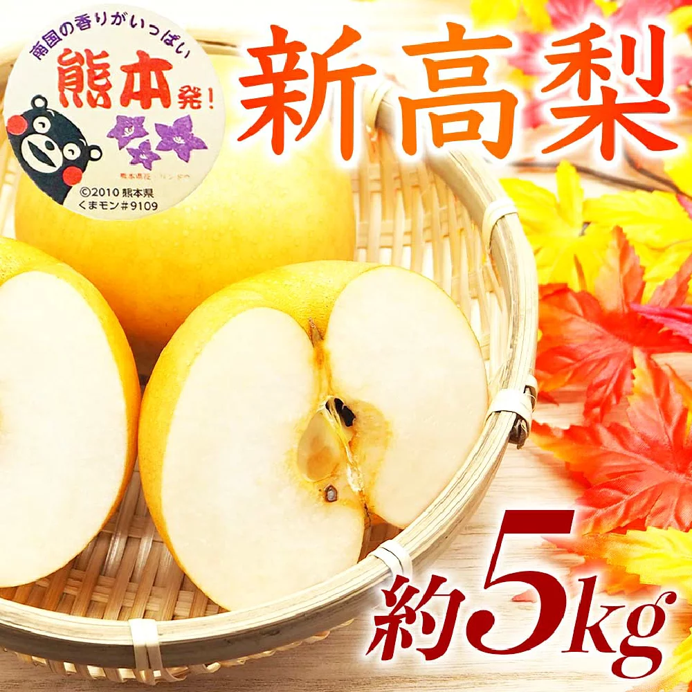 新高梨